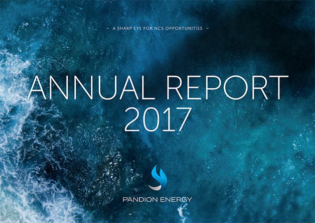 Publication of 2017 Annual Report: A flying start