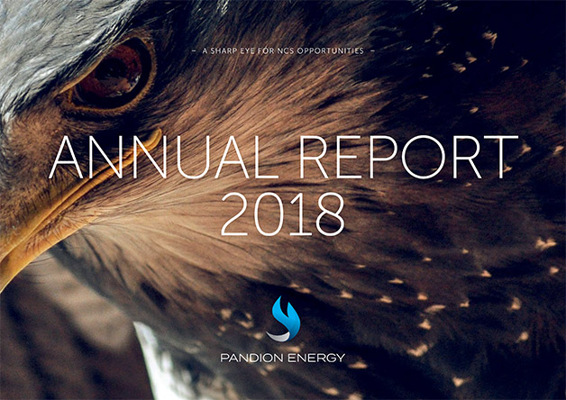 Publication of the 2018 Annual Report