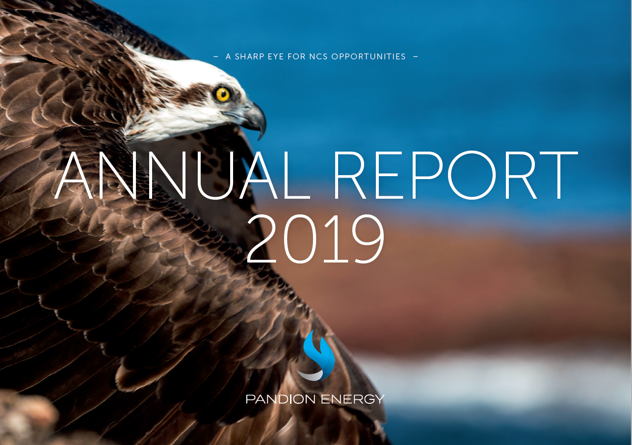 Publication of the 2019 annual report
