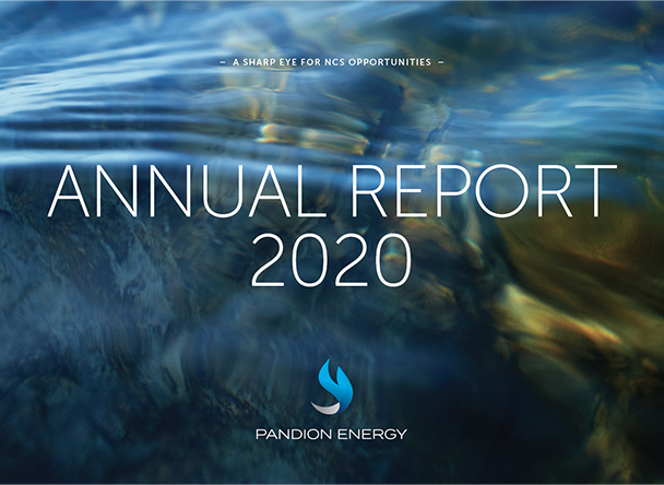 Publication of the annual report for 2020