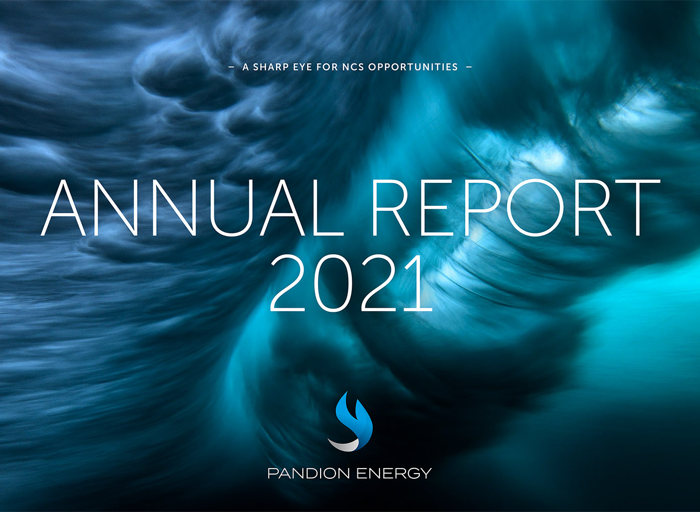 Publication of the annual report for 2021