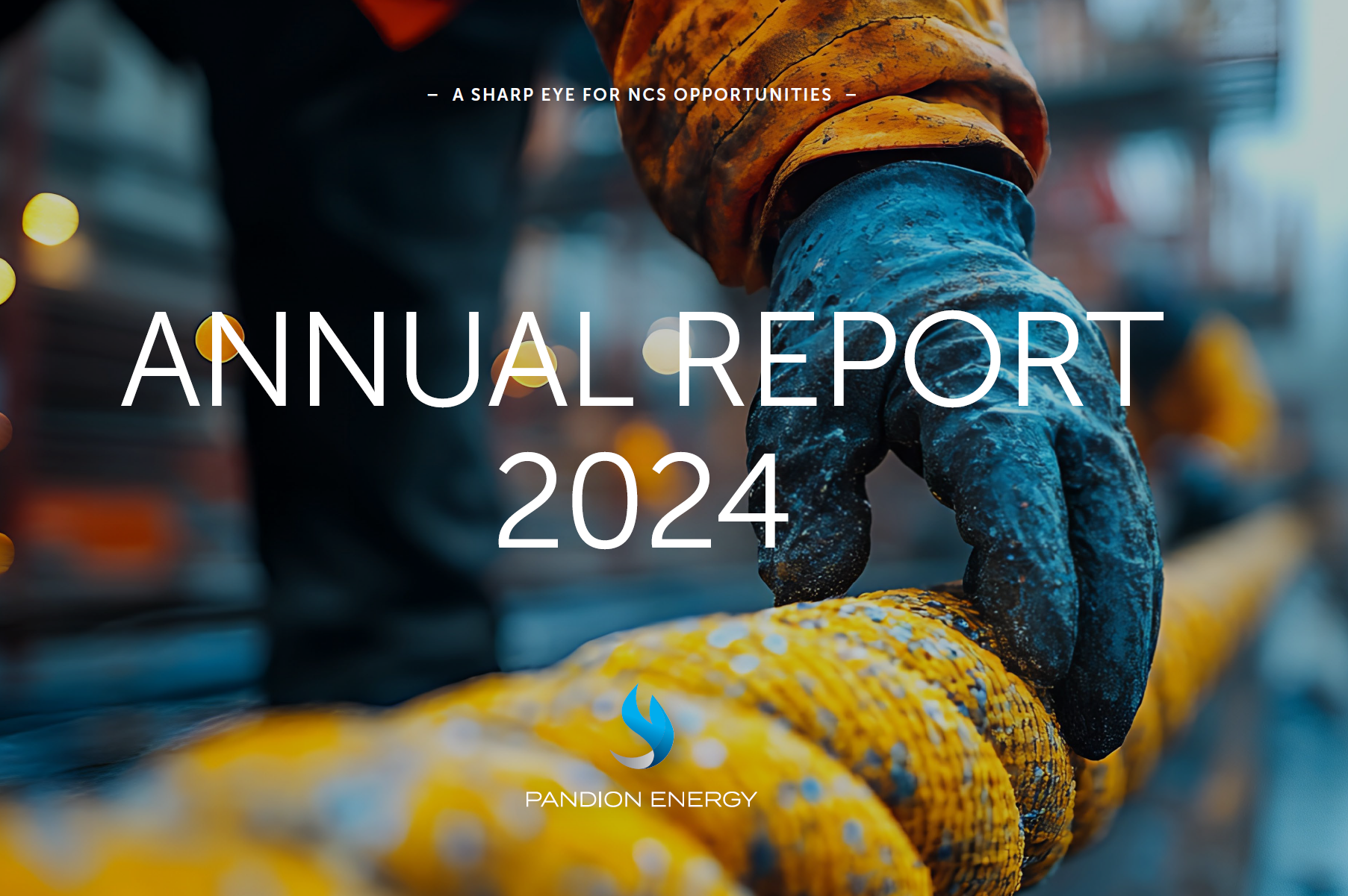 Publication of the annual report for 2024